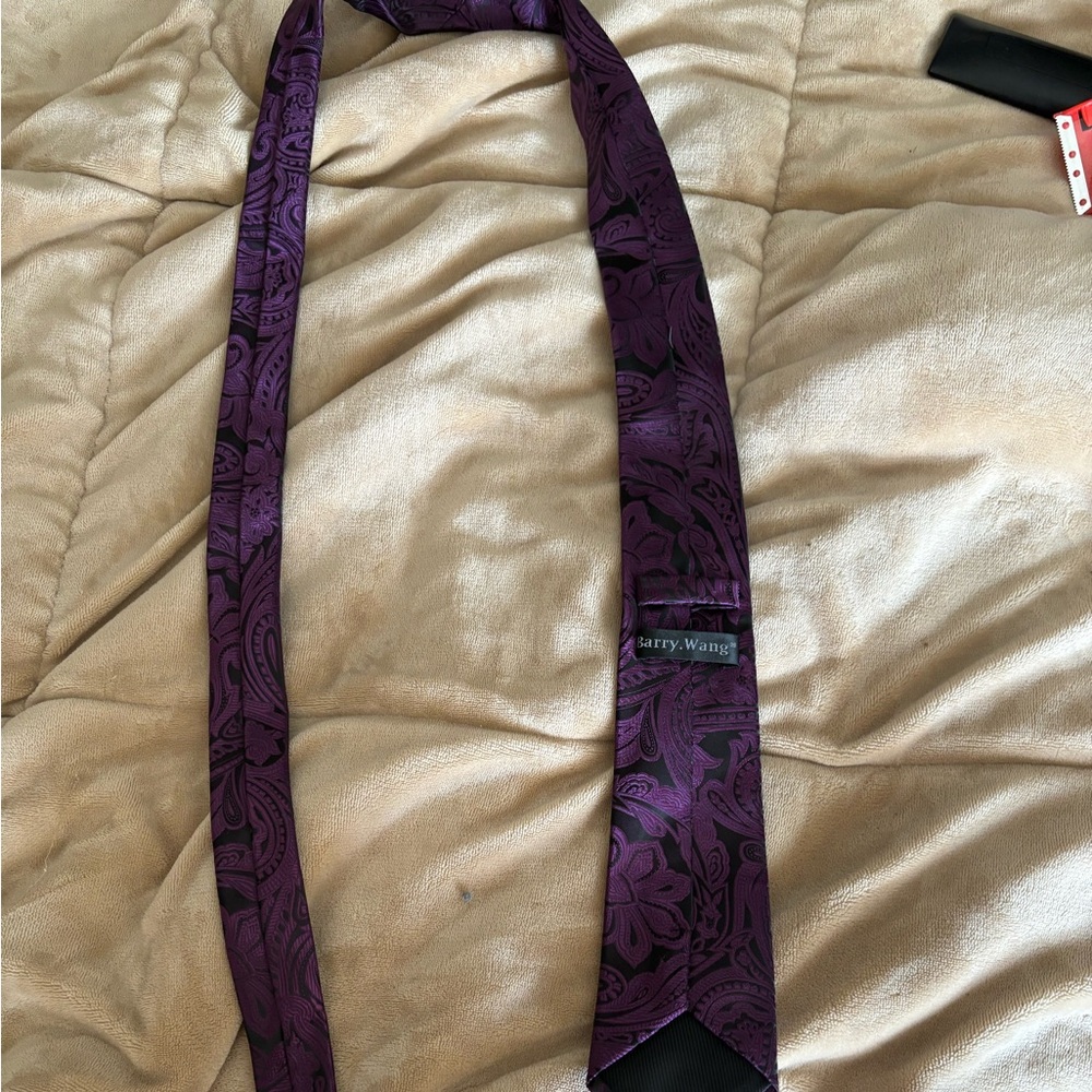 Barry Wang Purple Paisley Tie